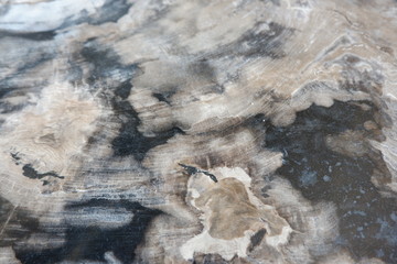 textures from fossilized wood