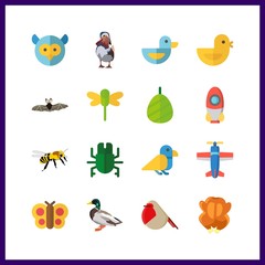 wing icon. plane and cocoon vector icons in wing set. Use this illustration for wing works.