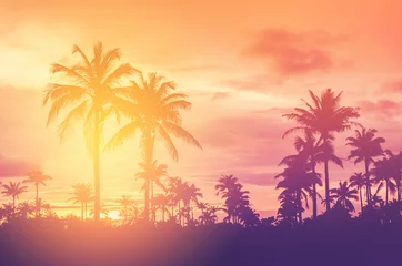 Rolgordijnen Kopieer de ruimte van tropische palmboom met zonlicht op de hemelachtergrond. © tonktiti
