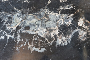 textures from fossilized wood