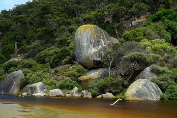 Wilsons Prom National Park in Victoria Australia © electra kay-smith