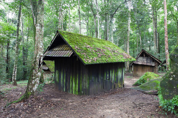 A deserted forest cottage