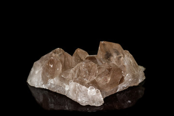 Macro mineral stone smoky quartz, rauchtopaz on a black background