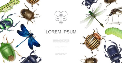 Realistic Insects Concept © K3Star