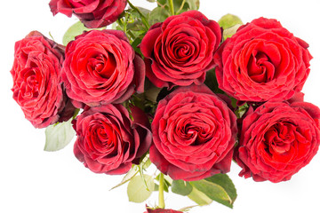 close up of a Bunch of beautiful dark red roses