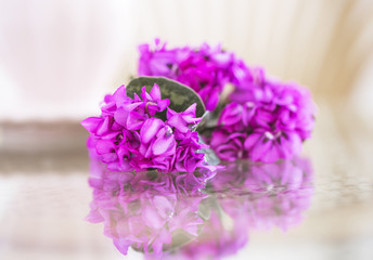 A bouquet of violets on a glass table on the terrace.