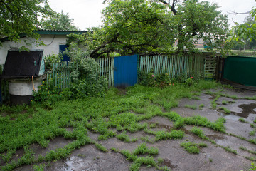 Rural yard after the rain overgrown with grass and poddles