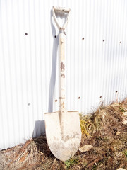 家庭菜園・菜園・農業