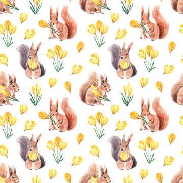 Seamless pattern with cute squirrel and bright crocus. Spring bright colors for textiles, cards, packaging.