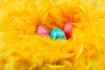 Ostereier in Nest aus Federn zu Ostern