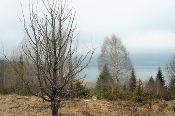 Winter near Mavrovo lake in Macedonian republic