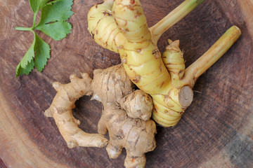 Ginger root and galanga with Celery leaf on wooden background