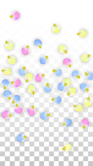 Vector Realistic Colorful Petals Falling on Transparent Background.  Spring Romantic Flowers Illustration. Flying Petals. Sakura Spa Design. Blossom Confetti. Design Elements for Wedding Decoration.