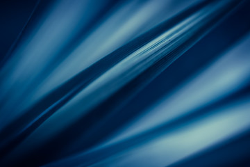 Abstract nature view of leaves on blurred background in blue toned with copy space using as background natural green plants landscape, ecology, fresh wallpaper concept.