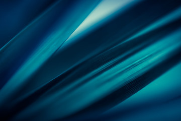 Abstract nature view of leaves on blurred background in blue toned with copy space using as background natural green plants landscape, ecology, fresh wallpaper concept.