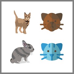 4 pets icon. Vector illustration pets set. cat and rabbit icons for pets works
