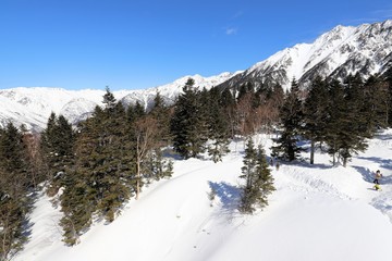 新穂高ロープウェイからの景色