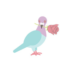 the blueboy stands sideways and holds a rose in its beak