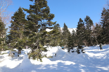 新穂高ロープウェイからの展望