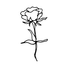 Hand drawn doodle flower.Perfect for invitation