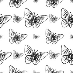 butterfly seamless pattern isolated on white background