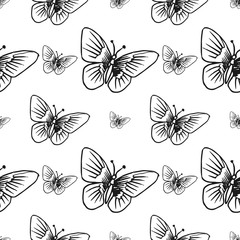 butterfly seamless pattern isolated on white background