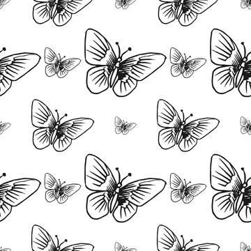 butterfly seamless pattern isolated on white background