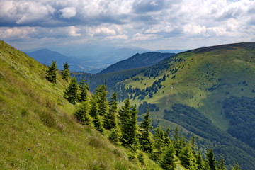 Fototapeta na wymiar intensive green colors of spruces and slope of mountains in summer time