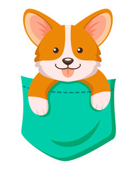 Pocket corgi dog. Cute cartoon puppy