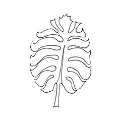 Doodle Leave Sketch line illustration