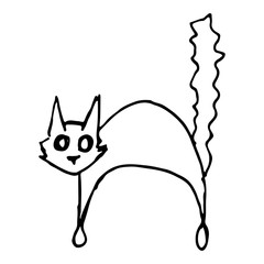 black cat hand draw