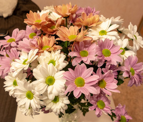 Plakat bouquet of daisies