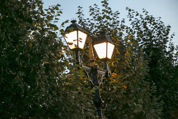 street lamp in the park 
