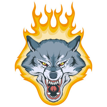 wolf on fire, vector graphic to design
