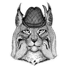 Cat, lynx, trot wearing traditional bavarian tirol hat. Oktoberfest.