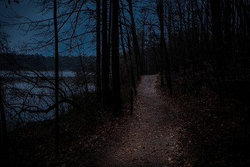 Hiking along the millpond trail as night begins to fall at Yates Mill County Park in Raleigh, North...