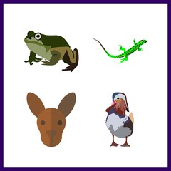 4 animal icon. Vector illustration animal set. kangaroo and lizard icons for animal works
