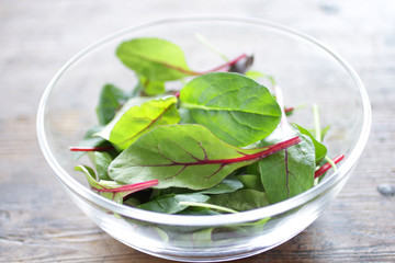 緑色のベビーリーフのミックスサラダ