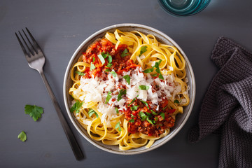 tagliatelle bolognese with herbs and parmesan, italian pasta