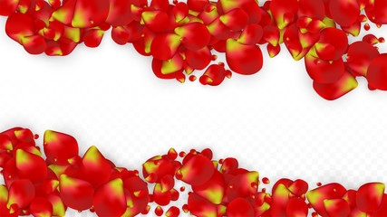 Vector Realistic Red Rose Petals Falling on Transparent Background.  Romantic Flowers Illustration. Flying Petals. Sakura Spa Design. Blossom Confetti. Design Elements for Wedding Decoration.