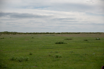 Fototapeta premium Steppe of Kazakhstan