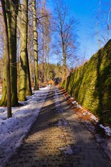 Fototapeta premium der weg ist das ziel