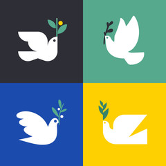 Peace dove. Flat style vector icon or logo template of white pigeon with olive branch