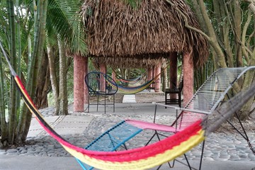 Row of hammock in a tropical environment