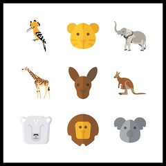 9 zoo icon. Vector illustration zoo set. kangaroo and polar bear icons for zoo works