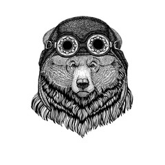 Cute animal wearing motorcycle, aviator helmet Grizzly bear Big wild bear Hand drawn image for tattoo, t-shirt, emblem, badge, logo, patch