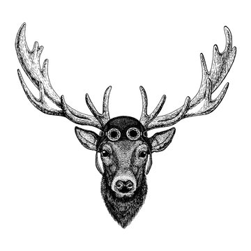 Cute animal wearing motorcycle, aviator helmet Deer Hand drawn illustration for tattoo, emblem, badge, logo, patch t-shirt