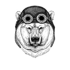 Cute animal wearing motorcycle, aviator helmet Big polar bear, White bear Hand drawn illustration for tattoo, t-shirt, emblem, badge, logo, patch
