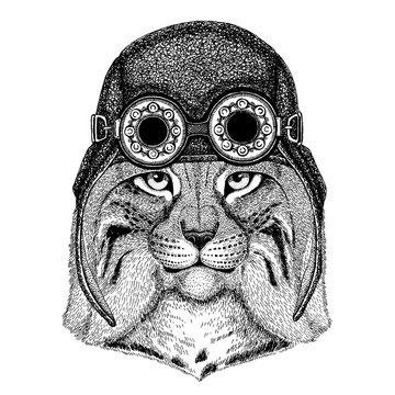 Cute animal wearing motorcycle, aviator helmet Wild cat Lynx Bobcat Trot Hand drawn image for tattoo, emblem, badge, logo, patch