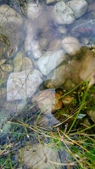 Water in the lake